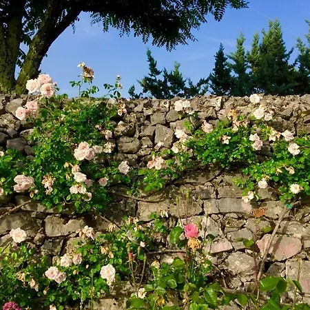 Villa Colletto *
